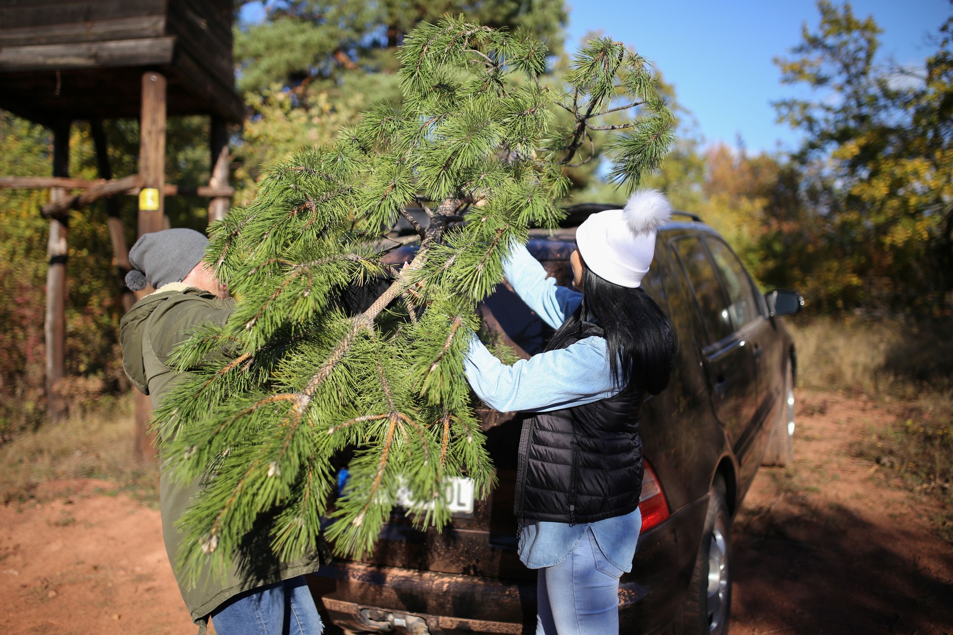 Christmas is coming stock photo